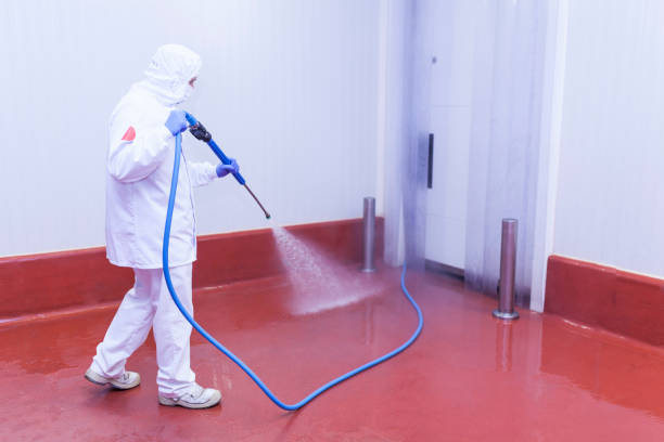 Best Sidewalk and Walkway Cleaning  in Central City, NE